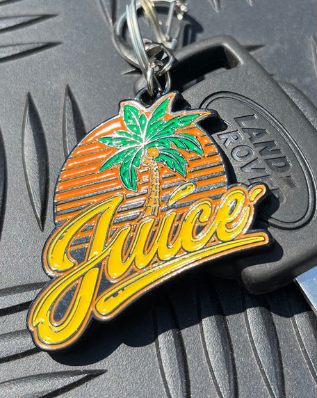 Palm Logo Keyring